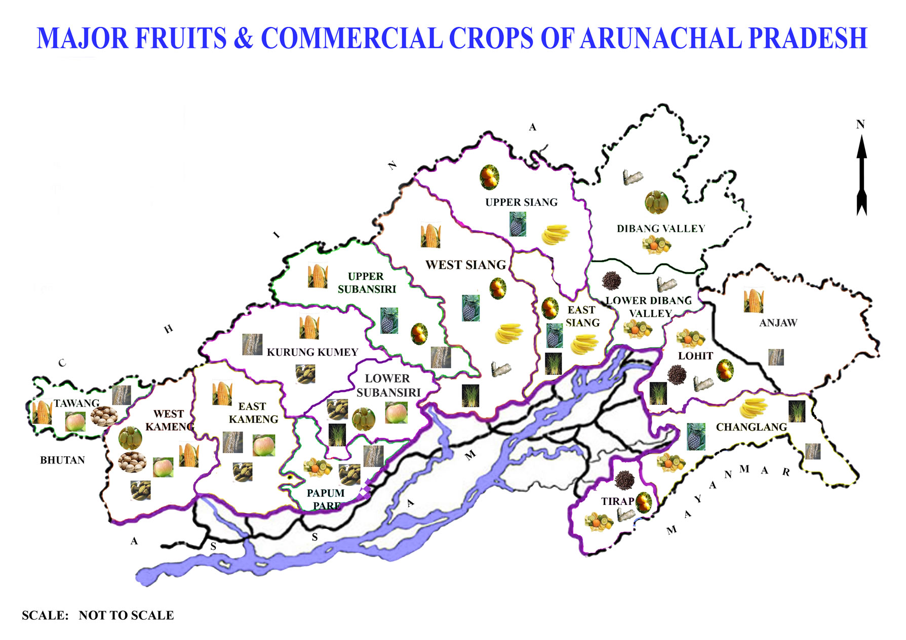 Fruit and Commercial Crop Map